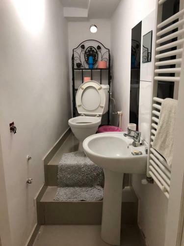 Ozana Apartament