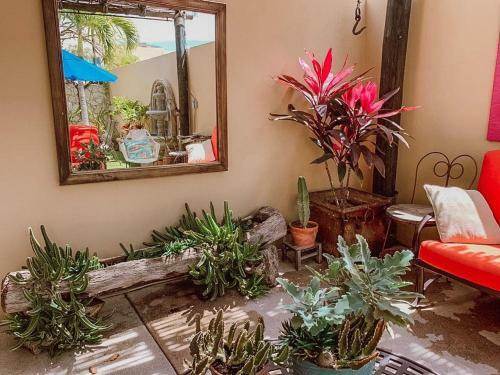 Loma Encantada Casa Frida
