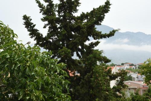 Hostal Anestis Chatzimihail Rooms