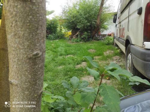 V�ndors�lyom Kemping