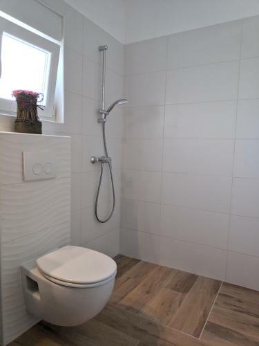 Apartmani Zvezdan