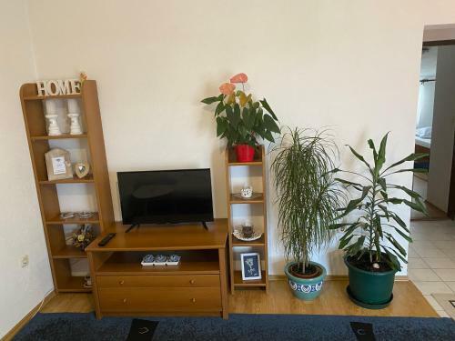 Apartamentos Ivo Prgomet