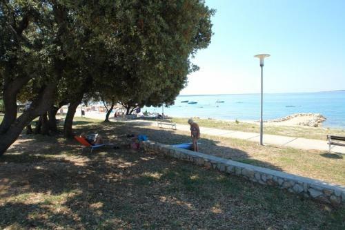 Apartman Roko