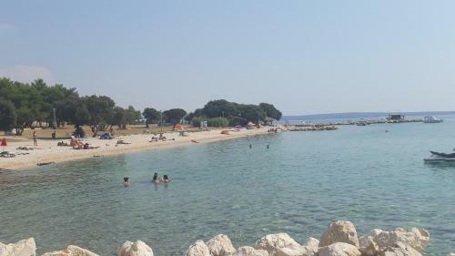 Apartman Roko
