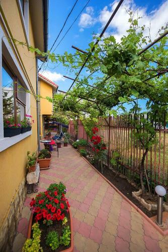 Hostal Vila Levent Mangalia