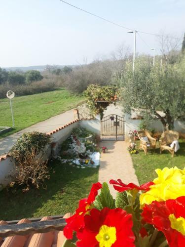 Casa Ani