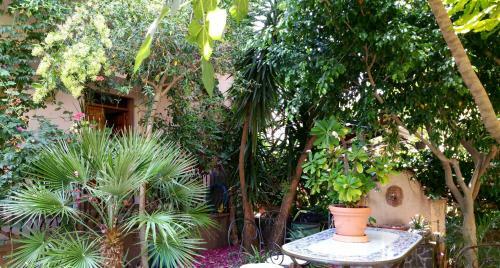 B&B Le Terrazze