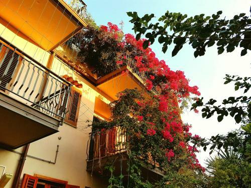 B&B Le Terrazze