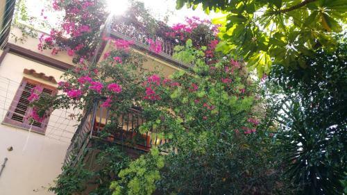 B&B Le Terrazze