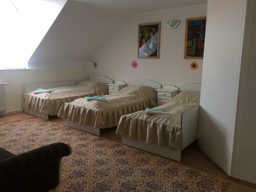 Hostal Pensiunea Diana