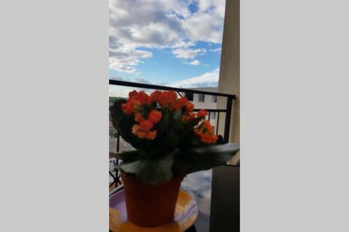 Apartamento Studio Navodari