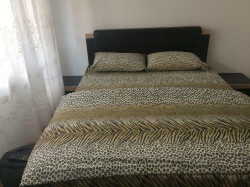 Voxx Apartment