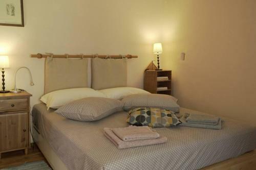 Alba Andros Traditional Villa - 1