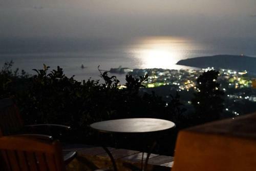 Alba Andros Traditional Villa - 1