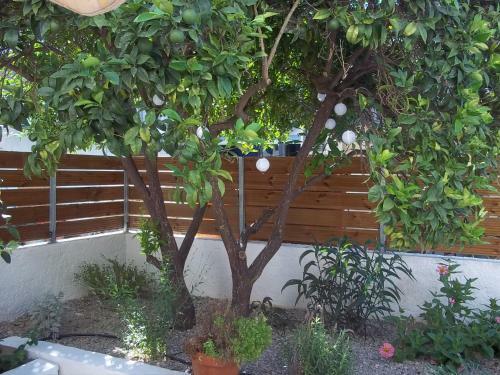 Dione Apartment