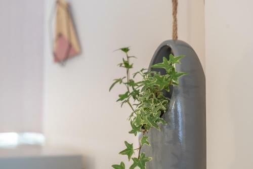 Dione Apartment