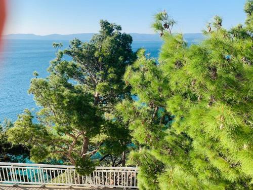 Apartamento Adriatik Paradise