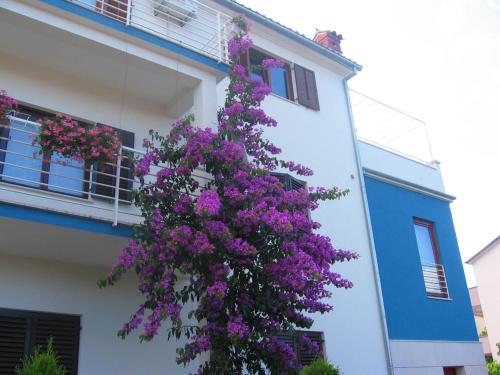 Apartamento Angel
