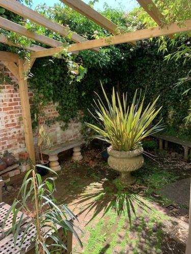 Central Taunton Garden Apartment