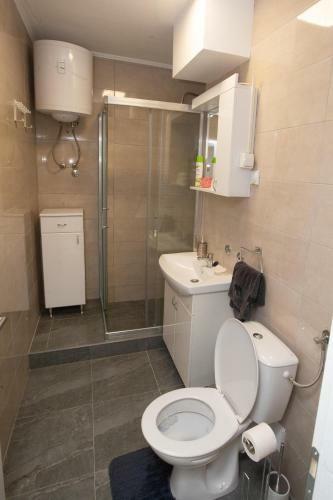 Apartman Danica
