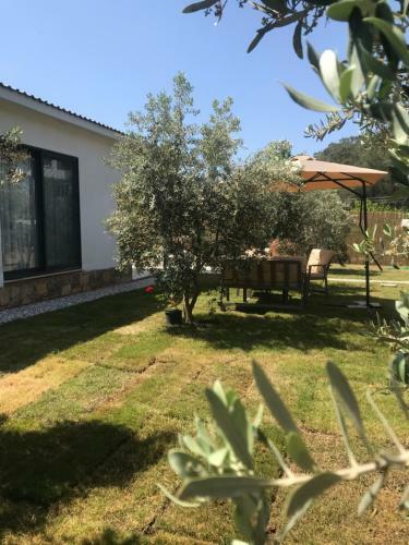 Villa_olive