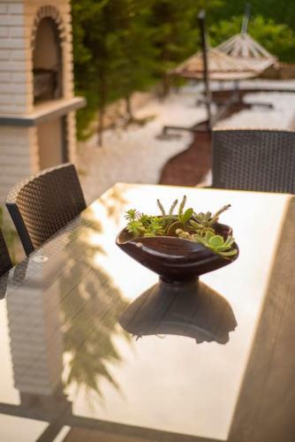 Villa Alp Inn
