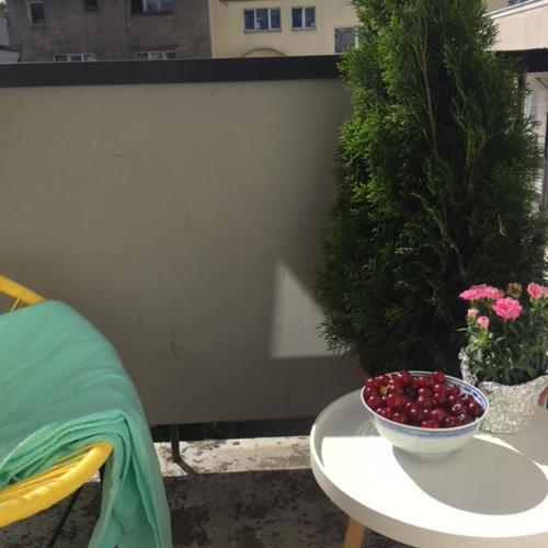 Apartament Swietojanska 139