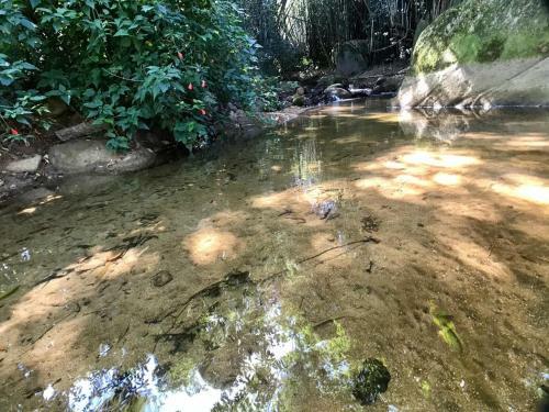 Su�te Cachu Em Meio � Natureza - Cocaia135