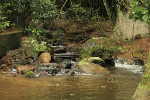 Su�te Cachu Em Meio � Natureza - Cocaia135