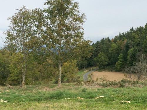 Bed & Breakfast Domaine La Reveille