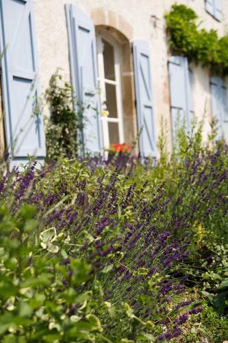 Bed & Breakfast Domaine La Reveille