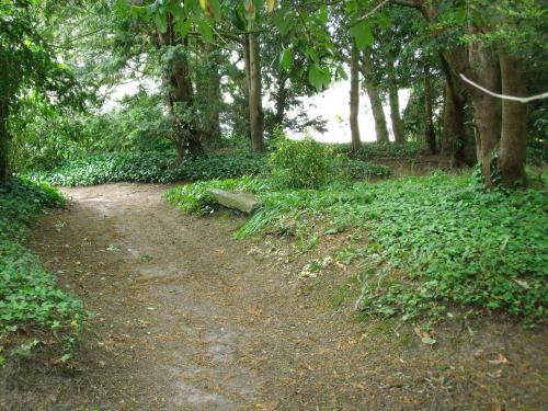 Au Refuge Des Alli�s