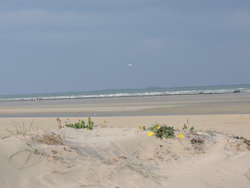Holiday Home La Crutte � La Hogue
