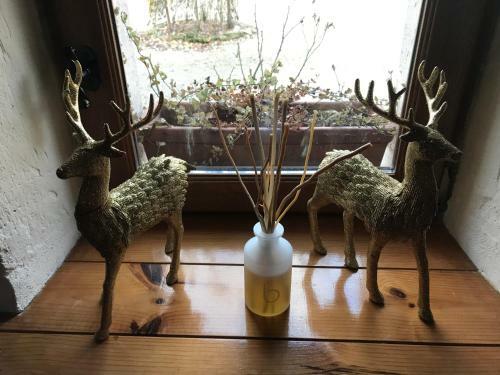 Bed & Breakfast Les Cygnes Noirs