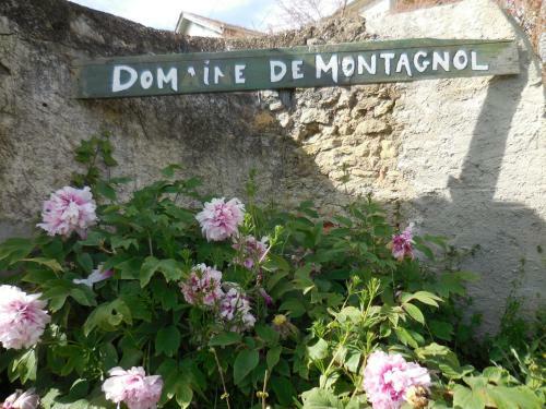 Bed & Breakfast Domaine De Montagnol