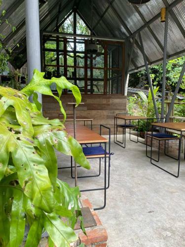 Warehouse Hostel Koh Tao