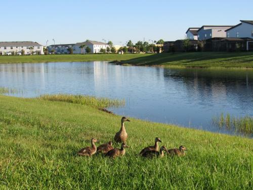 *sanitized* Amazing Condo, Full Equipped Kitchen Walking Trails At Resort