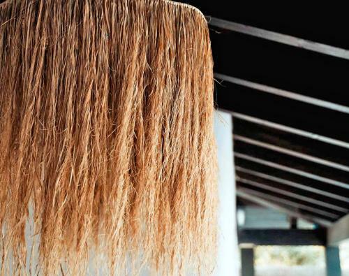 Villa Boho Palm