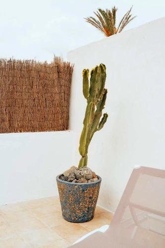 Villa Boho Palm