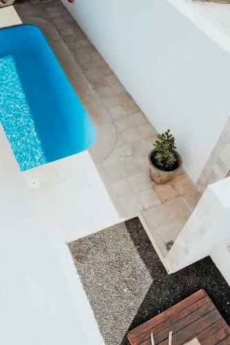 Villa Boho Palm