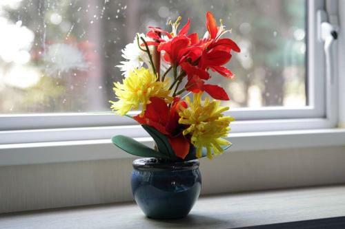 Edinburgh - Seton Sands-cameo Caravan-pet Friendly