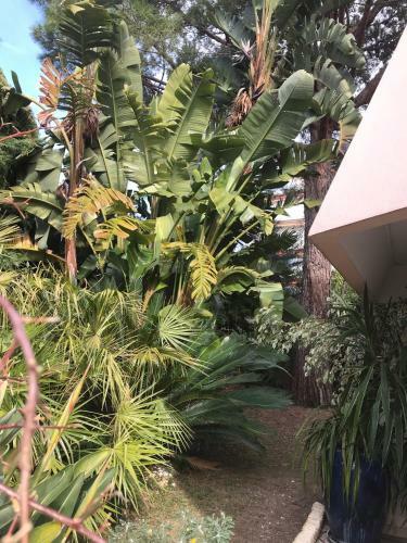 Apartamento 19 Rue Du Parc Alexandre III
