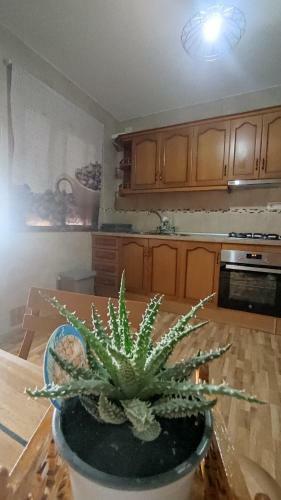 Apartamento Alojamiento Rural Las Moreas