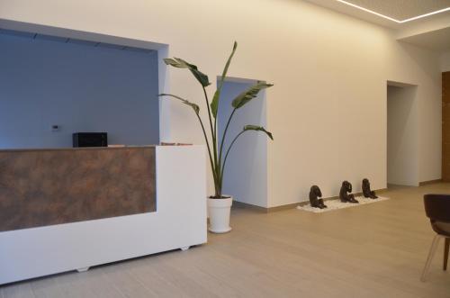 Apartamento El Sue�o De La Mancha