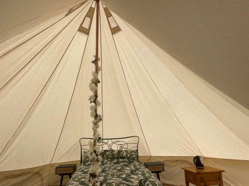 Luxury Glamping At The Riverside