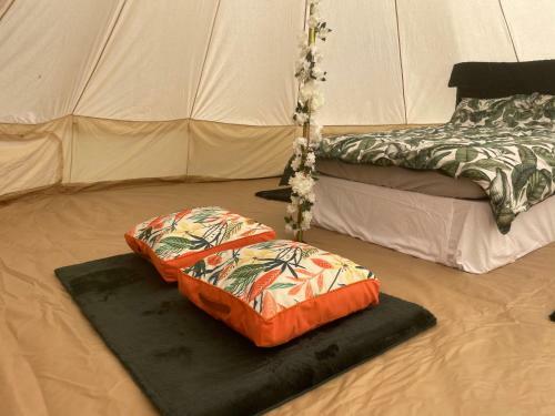 Luxury Glamping At The Riverside