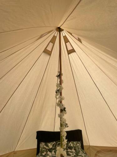 Luxury Glamping At The Riverside