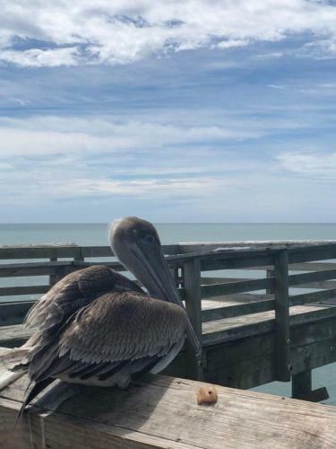 Apartamento Luxury 2 Beds 2 Bath Ocean Front Condo