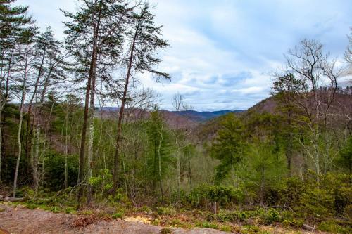 Hickory Homestead - Hottub, Wcaccessible