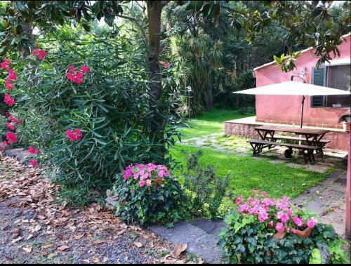 Hostal La Casa Tra Gli Agrumi